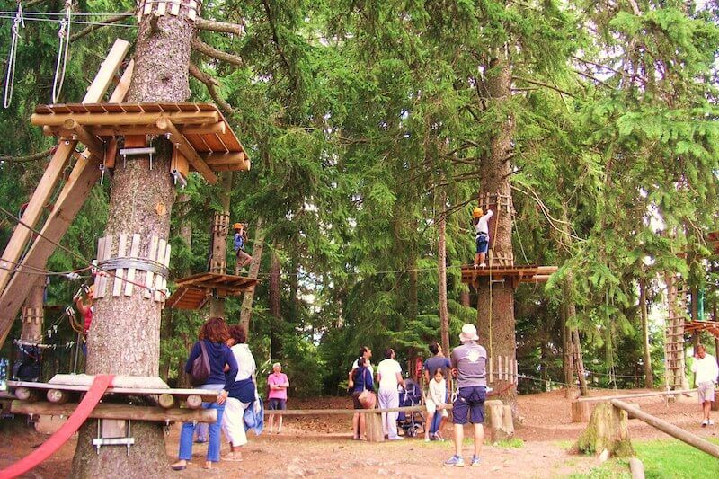 Tree climbing for children aged 6 and over Valais